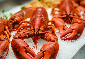 Freshly caught lobsters displayed on ice at a seafood market