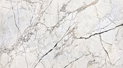 Obraz premium Marble Texture with White Background and Gray Veins