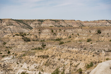 landscape in the desert