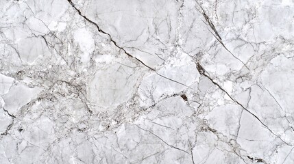 Fototapeta premium Marble Texture with White Background and Gray Veins