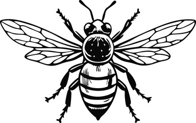 Obraz premium Doodle hand drawn bee. Set Cartoon outline line style bees