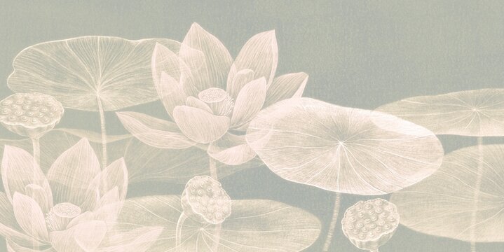 Lotus flower and leaf. nature art. drawing artwork. botanical background.