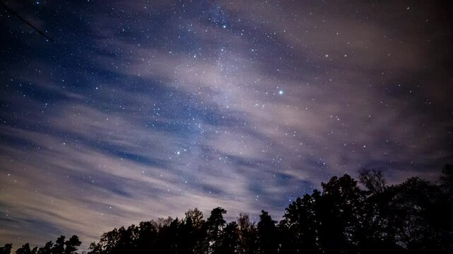Motion controlled time lapse with starry sky over forest.