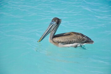 Gentle turquoise waves wash onto the pristine sandy beach under a bright blue sky filled with soft white clouds.