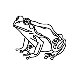 Detailed Frog Vector Line Art - Artistic Wildlife Illustration