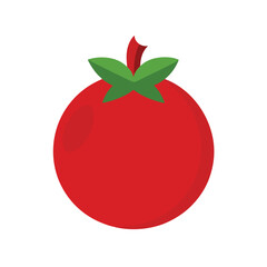 Pomegranate Fruit Vector Illustration - Cartoon, Clipart, and Line Art Designs 1.eps