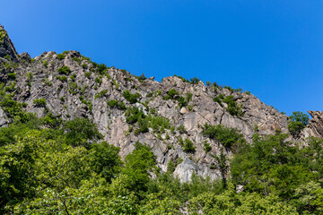 steile Felswand im Bodetal Harz