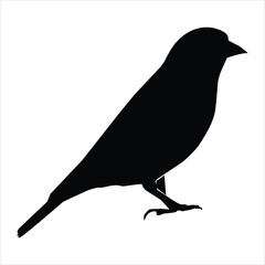 silhouette of a bird
