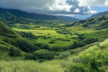 Obraz premium Lush green valley, mountains, cloudy sky.