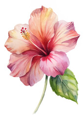 Vibrant hibiscus flower, watercolor painting, tropical botanical art, floral illustration, nature-inspired decor.