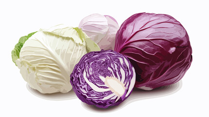 Obraz premium Varieties of Cabbage Illustration for Culinary and Botanical Designs