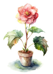 Watercolor flower illustration, vibrant pink petals, green leaves, decorative plant art, botanical design, home decor.