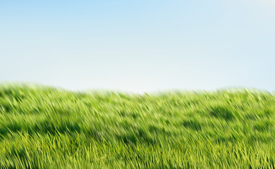 Realistic Green Grass Blue Sky Spring Nature Landscape. Nature Landscape Meadow Background. Vector Illustration