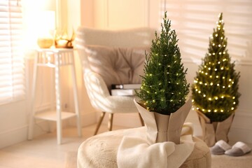 Small spruce trees decorated with Christmas lights indoors