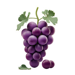 Fototapeta premium A 3D render of a cartoon-style bunch of purple grapes. The grapes are large and plump, with a few scattered on the ground beneath the vine. The vine is green and has a few leaves. 
