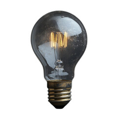 Vintage Light Bulb with Edison Filament and Reflective Glass