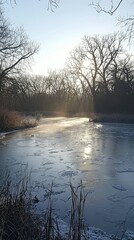Fototapeta premium Frozen River Scene with Sunlight and Frosty Trees in Winter