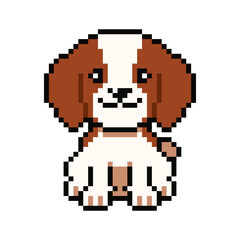 Pixel art cute cavalier king charles spaniel dog vector in retro style for design.