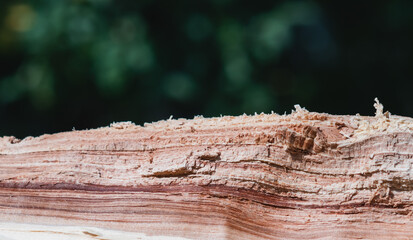 Image of the texture of a chopped wooden cloth