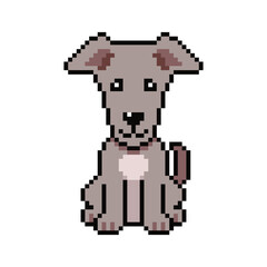 Fototapeta premium Pixel art cute greyhound dog vector in retro style for design.
