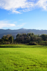 Obraz premium Pradera verde y sierra en el horizonte en Asturias