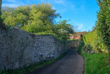 Camino entre casas y jardines en pueblo de Asturias © Darío Peña