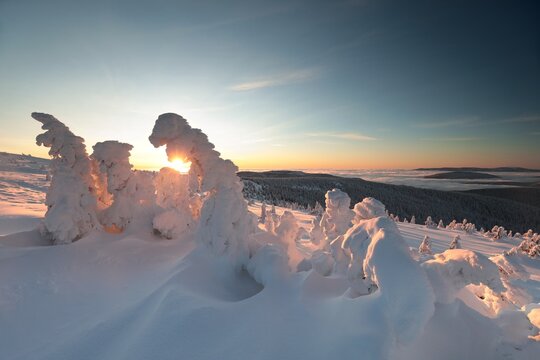 The top of Praděd mountain in the Czech Republic during sunset