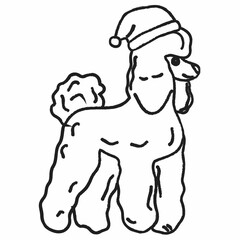 A dog in a Santa Claus hat.