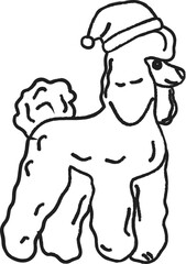 A dog in a Santa Claus hat.