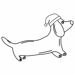 A dog in a Santa Claus hat.