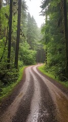 Winding dirt road through lush rainforest vegetation during daytime in a tropical setting