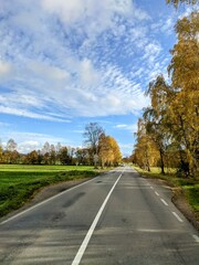 Fototapeta premium road in autumn