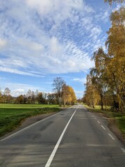 Fototapeta premium road in autumn
