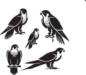 silhouette set of peregrine falcon sitting poses, black and white falcon illustration, falcon silhouette vector