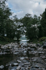 Forest around the lake