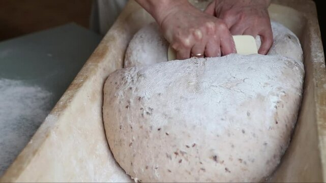 Hands work with flour dusted dough in a wooden trough using a plastic scraper, highlighting traditional bread making techniques in a kitchen setting.