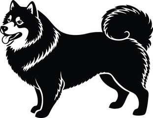 Samoyed. Dog silhouette dog breeds dog monogram logo dog face vector.eps