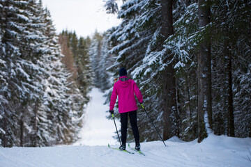 Skiing in winter on the ski trail. Winter vacation.