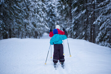 Skiing in winter on the ski trail. Winter vacation.