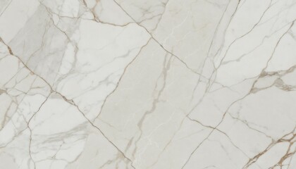 Polished marble texture with smooth white veins