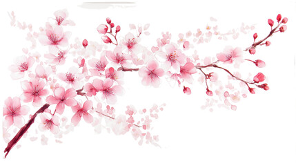 A Beautiful pink cherry blossoms framed against , on a Transparent Background 