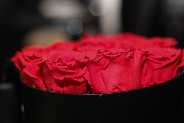 Rose Background stock photo. An elegant bouquet of vibrant red roses captured against a deep, moody background, creating a dramatic and romantic atmosphere. Love 