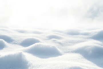 Bright Sunlight Illuminates Undulating Snowdrifts