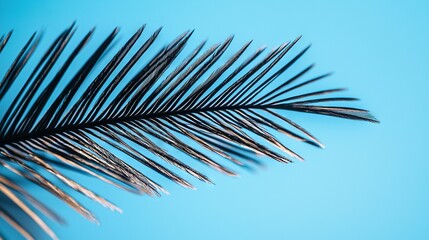 Obraz premium A close-up of a palm leaf on a bright blue background with copy Space to the left