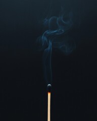 Burning Matchstick with Smoke