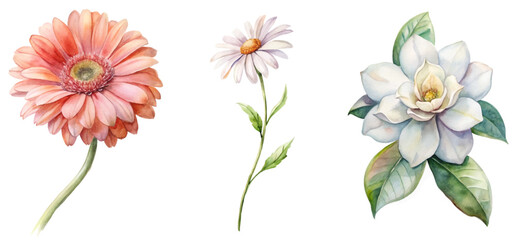 watercolor flower illustrations, vibrant floral designs, botanical art, nature-inspired decor, elegant floral arrangements