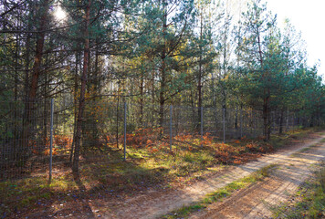 Fototapeta premium Border as metal fence in forest. Fence with metal mesh in wildlife with trees. Fence for animal protection. Protected area, restricted area, private property. Protect and ensure the safety of animals.