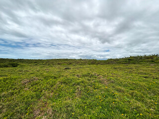View of the ocean coast with coastal vegetation - Torres, Brazil