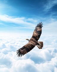 Fototapeta premium Majestic Eagle in Flight Over Clouds