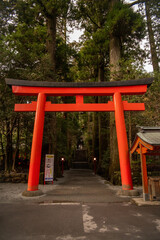 japanese temple red torii in the woods